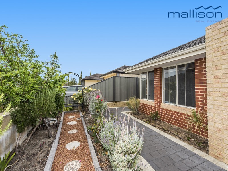 43 Arrino Parade, Baldivis WA 6171