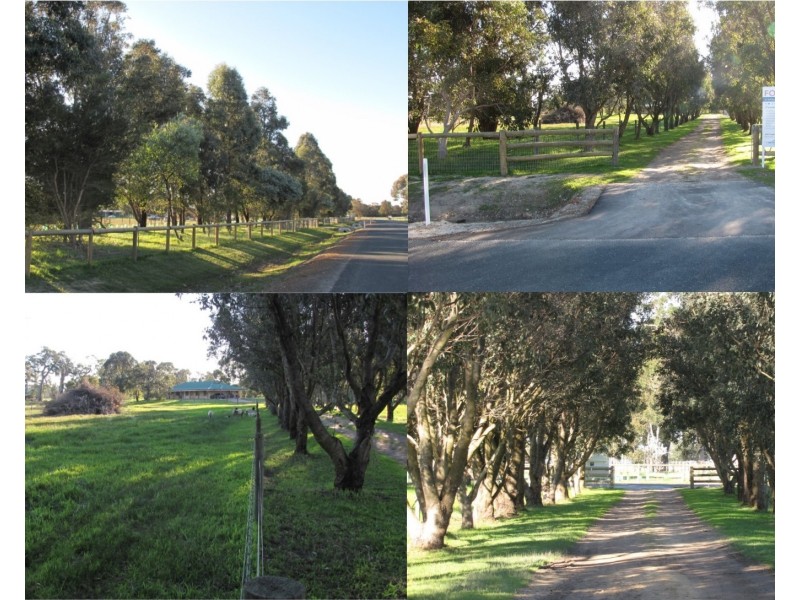 61 Avoca Retreat, North Dandalup WA 6207