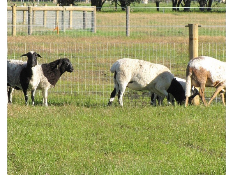 61 Avoca Retreat, North Dandalup WA 6207