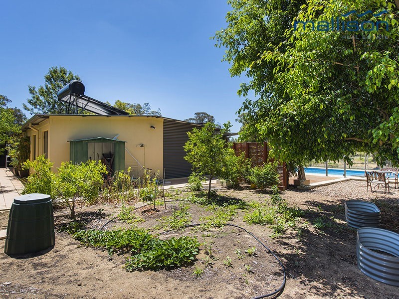 130 Winery Drive, Karnup WA 6176