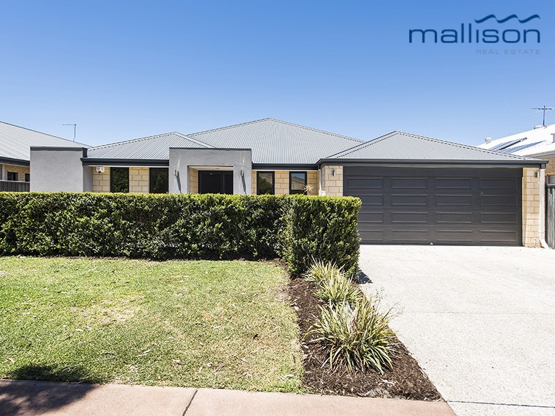 6 Global Avenue, Harrisdale WA 6112