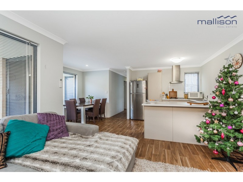 3 Molonglo Crescent, Baldivis WA 6171