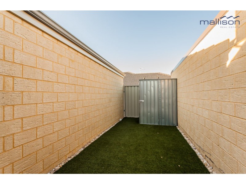 3 Molonglo Crescent, Baldivis WA 6171
