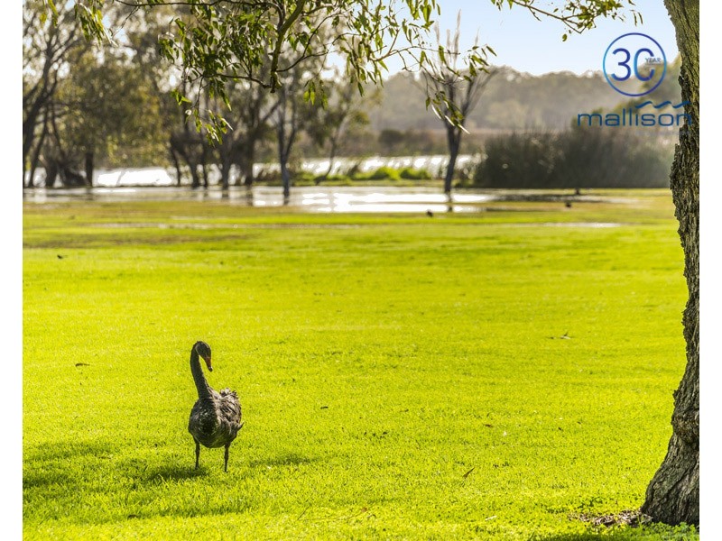 17/48 Moondine Drive, Wembley WA 6014