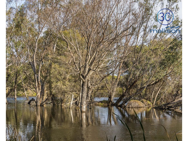 17/48 Moondine Drive, Wembley WA 6014