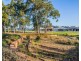3 Molonglo Crescent, Baldivis WA 6171
