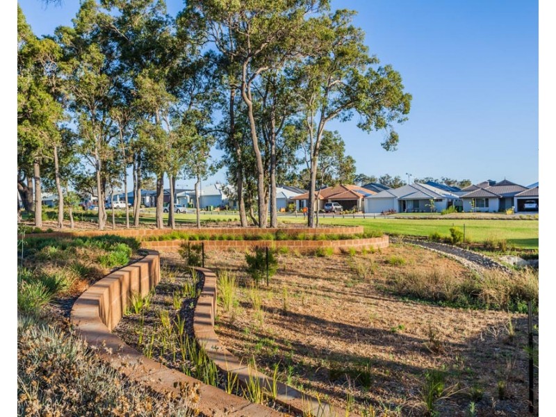 3 Molonglo Crescent, Baldivis WA 6171