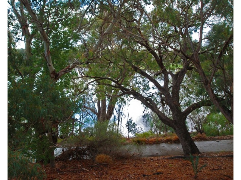 14/5 Minora Place, Rivervale WA 6103