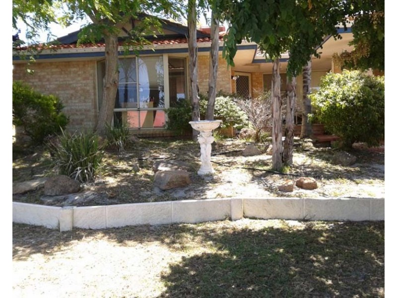 56 Veneta Circuit, Atwell WA 6164