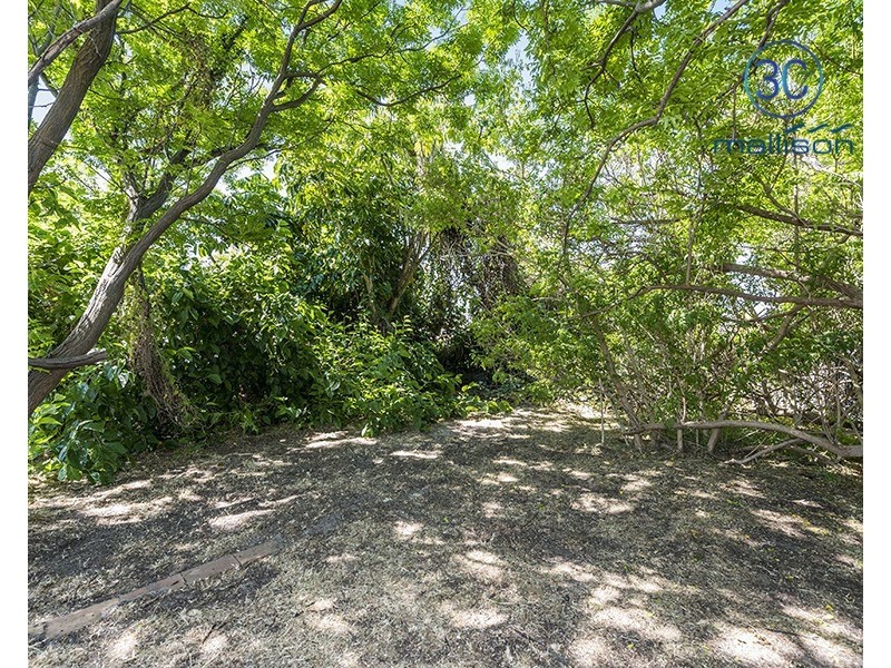 113 Fitzroy Raod, Rivervale WA 6103