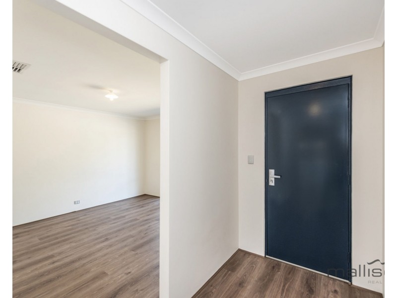 34 Campolina Avenue, Baldivis WA 6171