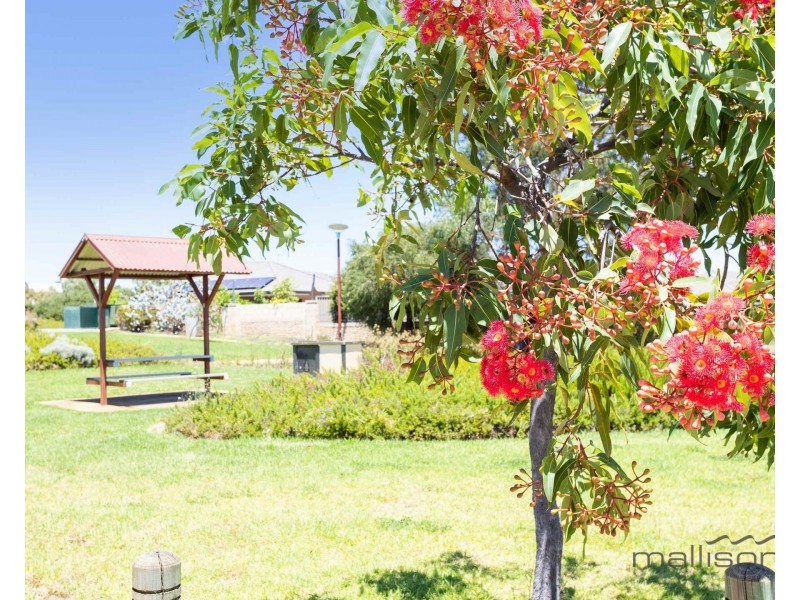 47 Chiltern Avenue, Brookdale WA 6112