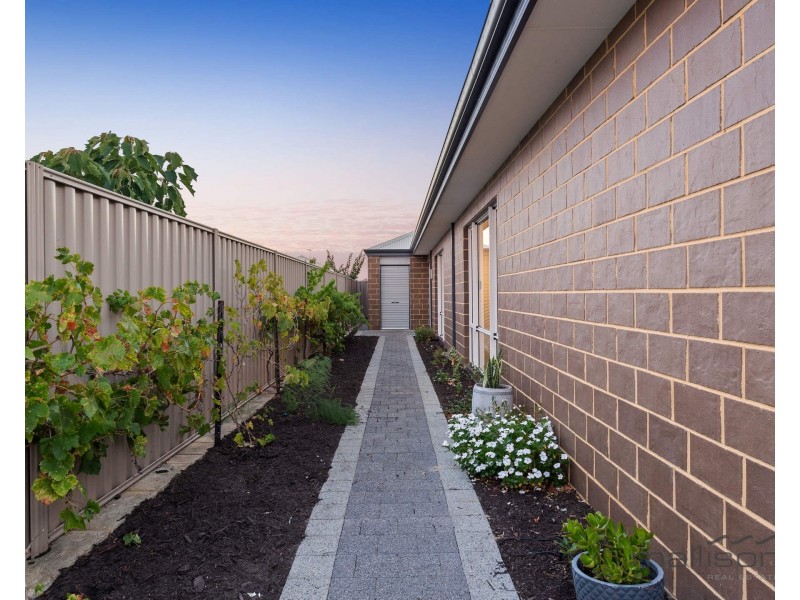 7 Orlov Link, Baldivis WA 6171