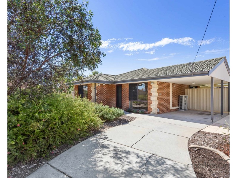 10 Schaffers Place, Thornlie WA 6108