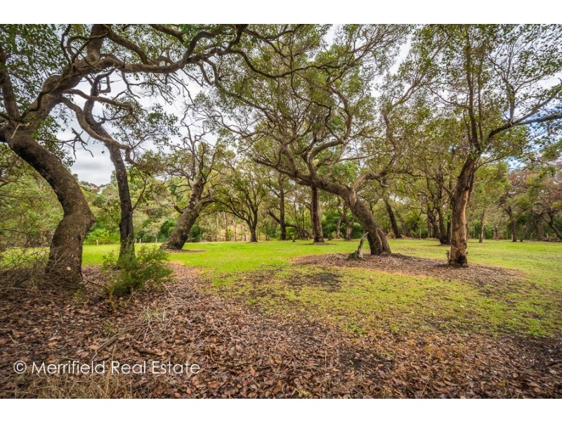 51 Cull Road, Gledhow WA 6330