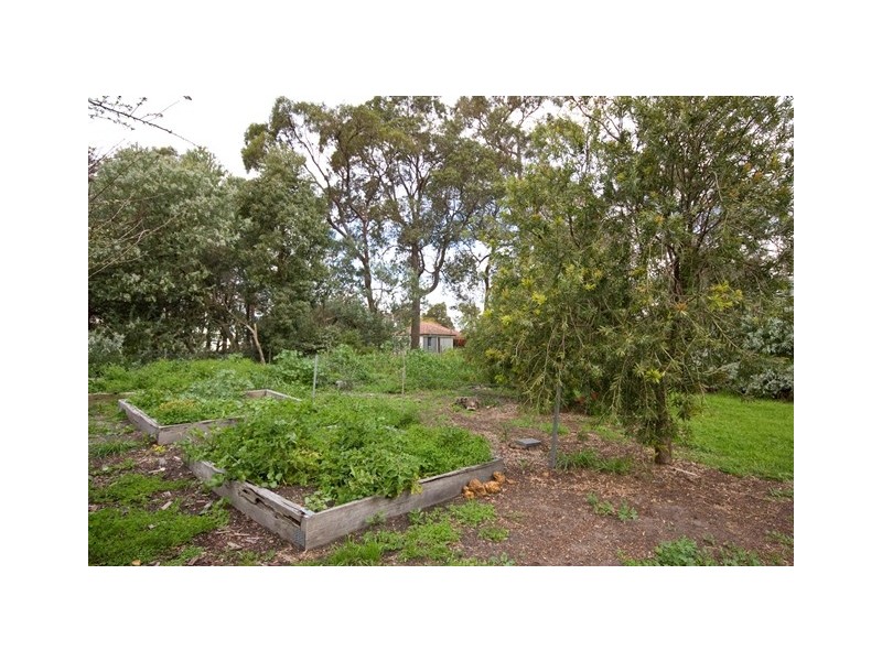 41 Beech Road, Narrikup WA 6326