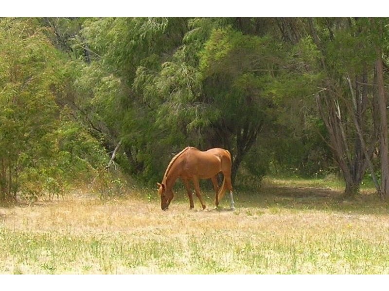 426 Old Elleker Road, Cuthbert WA 6330