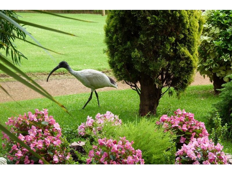 426 Old Elleker Road, Cuthbert WA 6330