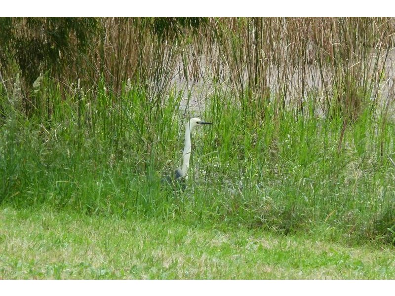 426 Old Elleker Road, Cuthbert WA 6330