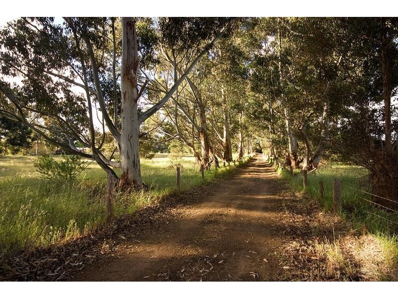 3 Rufus Street, Milpara WA 6330