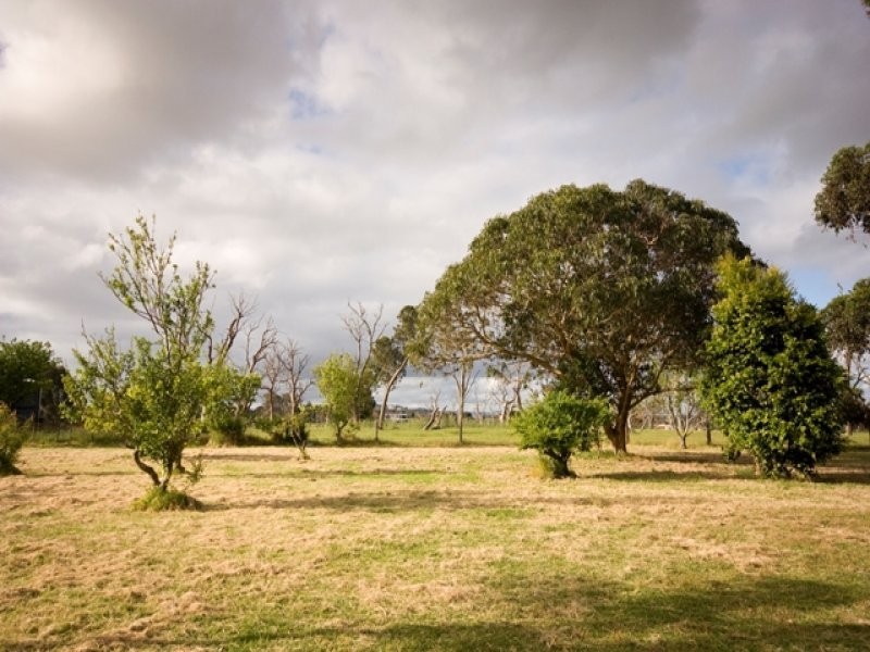 3 Rufus Street, Milpara WA 6330