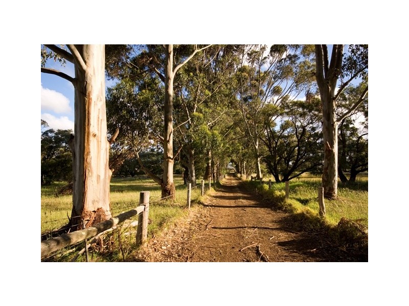 3 Rufus Street, Milpara WA 6330