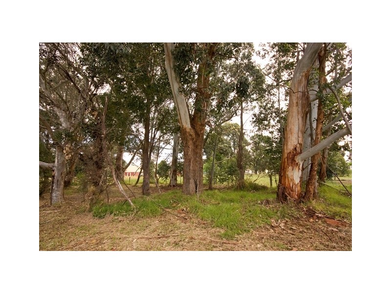 3 Rufus Street, Milpara WA 6330