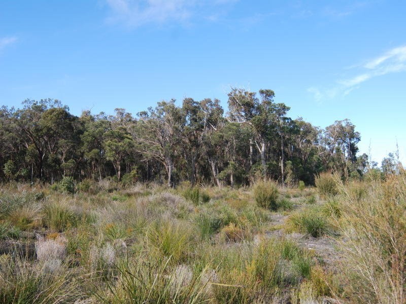 Lot 13 Redmond West Road, Redmond WA 6327