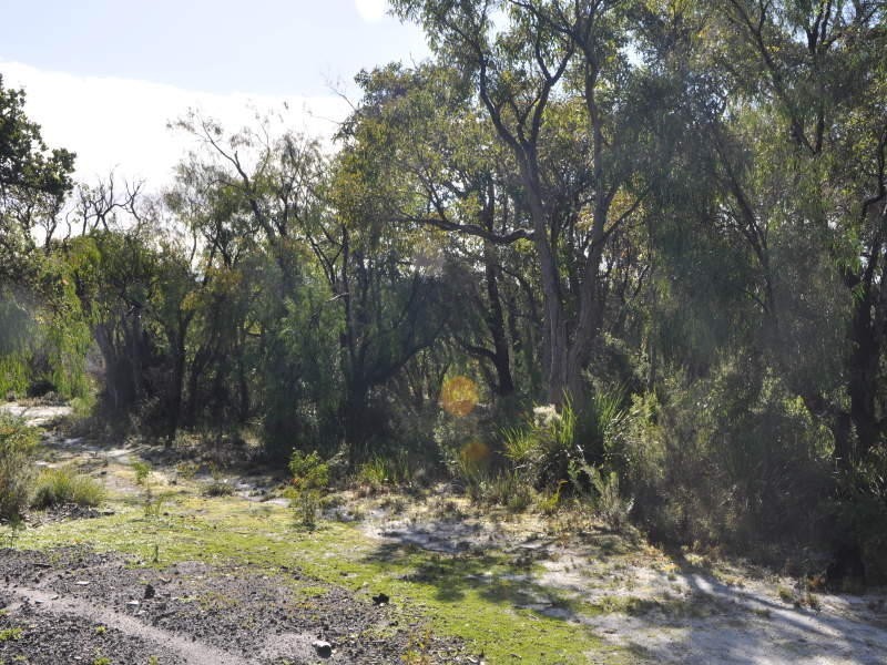 Lot 615,  La Perouse Road, Goode Beach WA 6330