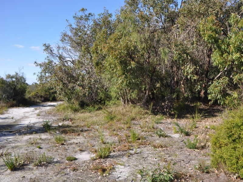 Lot 615,  La Perouse Road, Goode Beach WA 6330