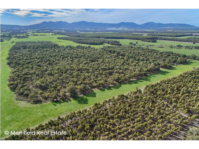 102 Yellanup Road, Narrikup WA 6326