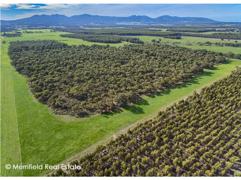 102 Yellanup Road, Narrikup WA 6326