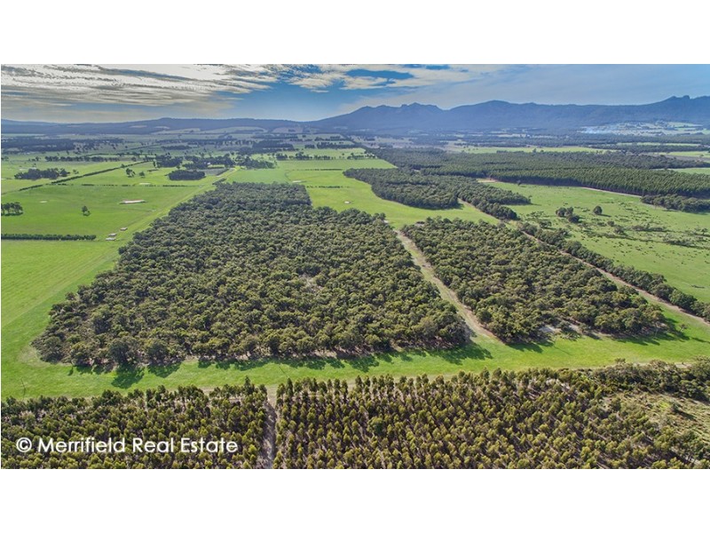 102 Yellanup Road, Narrikup WA 6326