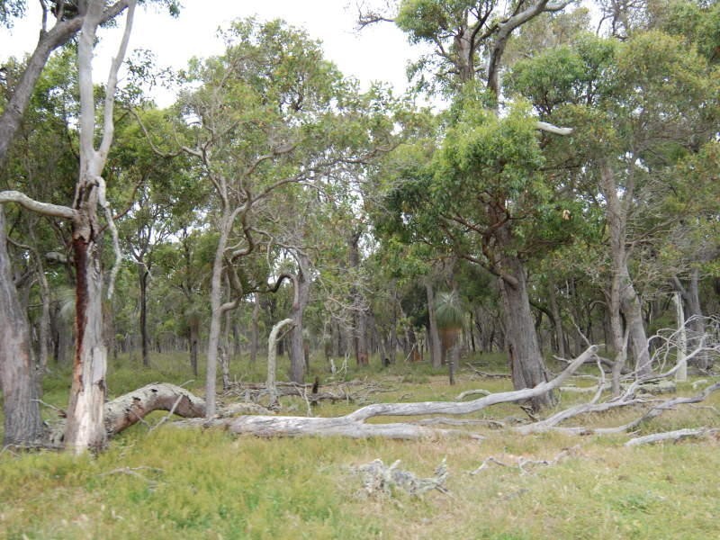 102 Yellanup Road, Narrikup WA 6326