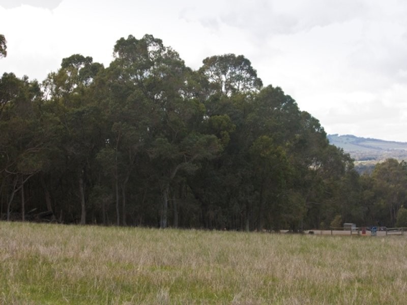 57 & 68 Braidwood Drive, Mount Barker WA 6324