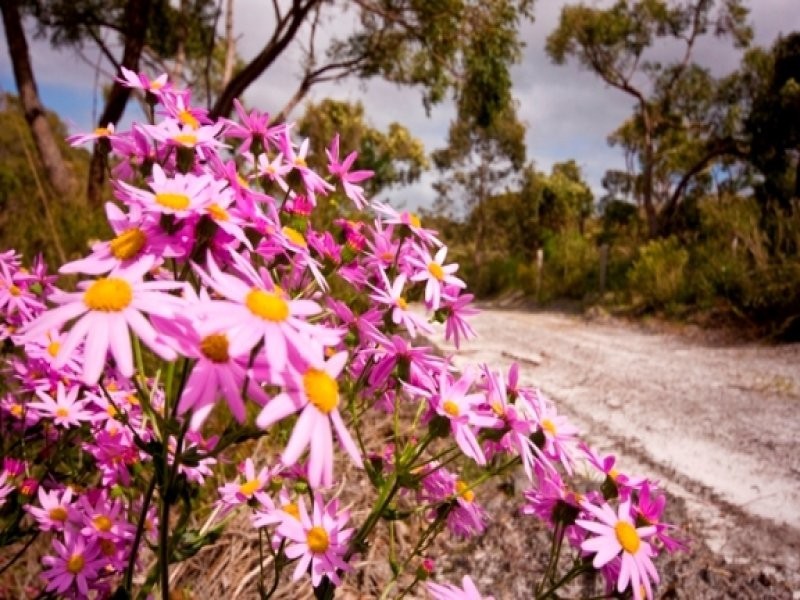 50 Bottlebrush Road, Gledhow WA 6330
