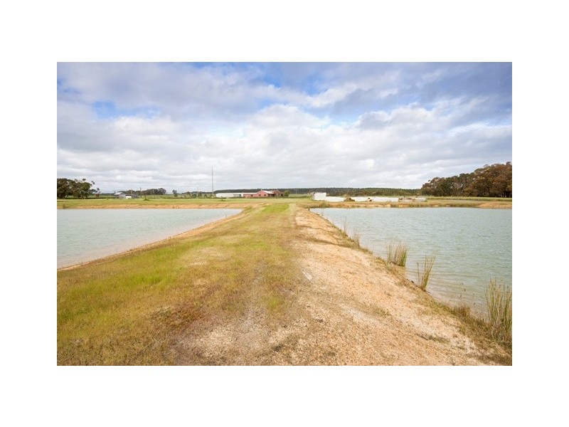 304 Wilcox Road, Redmond WA 6327