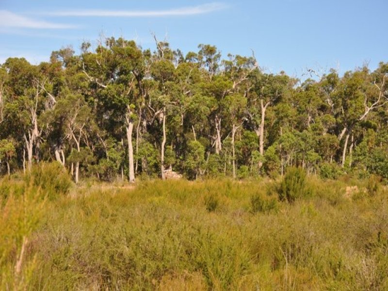 Lot 13 Redmond West Road, Redmond WA 6327