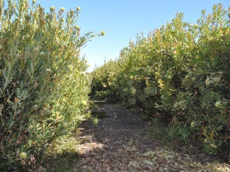 Lot 13 Redmond West Road, Redmond WA 6327