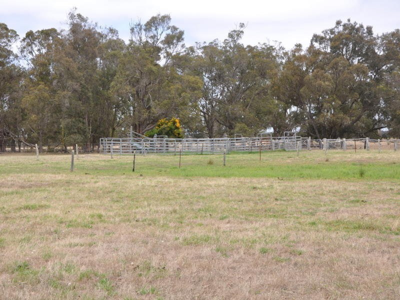 385-386 Cnr Elliott Road & Settlement Road, Narrikup WA 6326