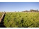 37 Barfleur Place, Marbelup WA 6330