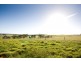 37 Barfleur Place, Marbelup WA 6330
