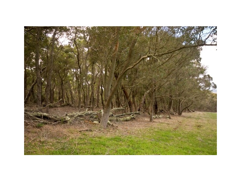 Lot 69, 68 Braidwood Drive, Mount Barker WA 6324