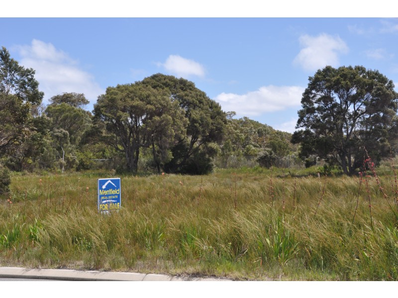 54 Newbey Street, Milpara WA 6330