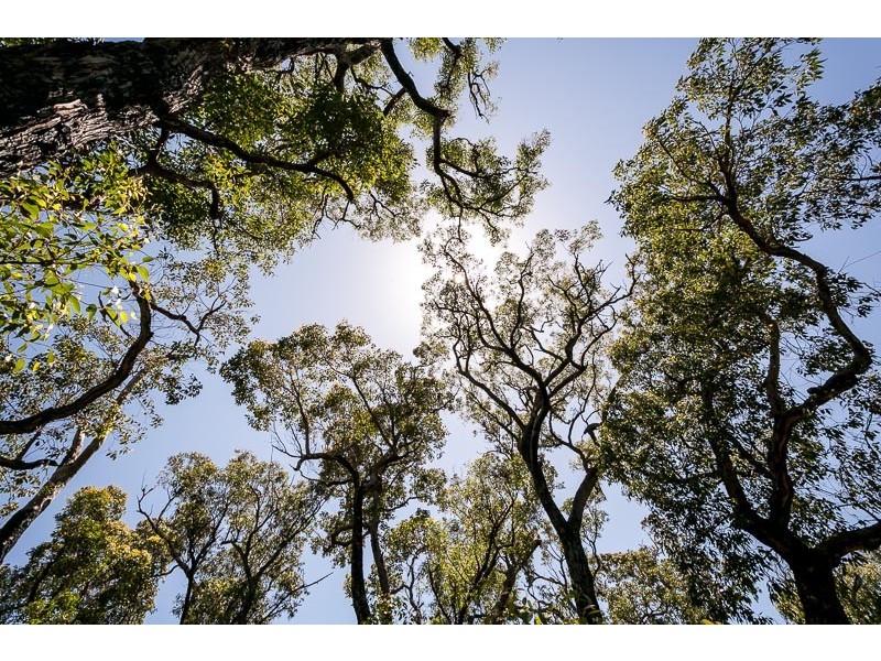 815 Stoney Creek Road, Porongurup WA 6324