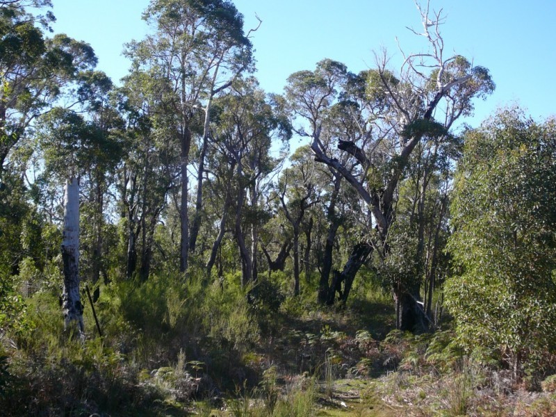 815 Stoney Creek Road, Porongurup WA 6324