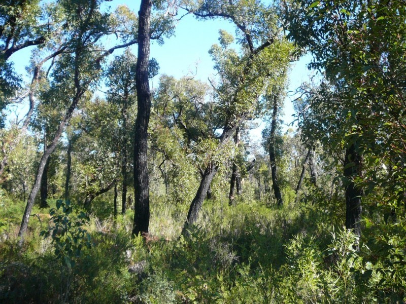 815 Stoney Creek Road, Porongurup WA 6324