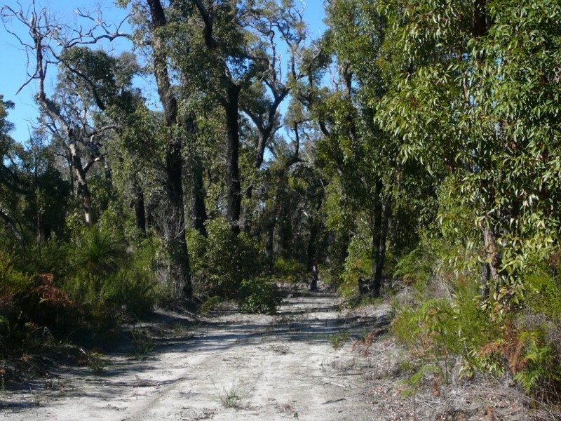 815 Stoney Creek Road, Porongurup WA 6324