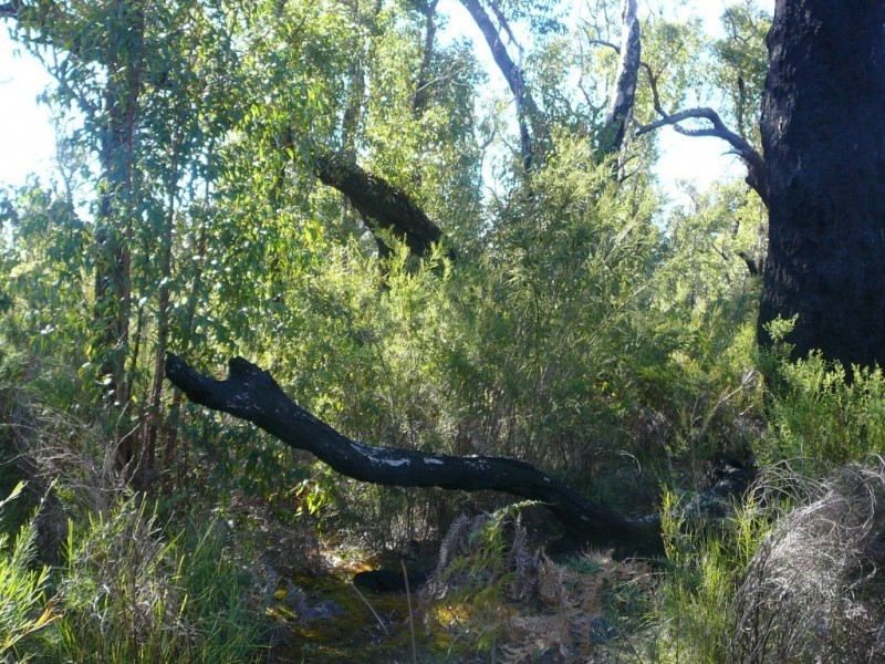 815 Stoney Creek Road, Porongurup WA 6324