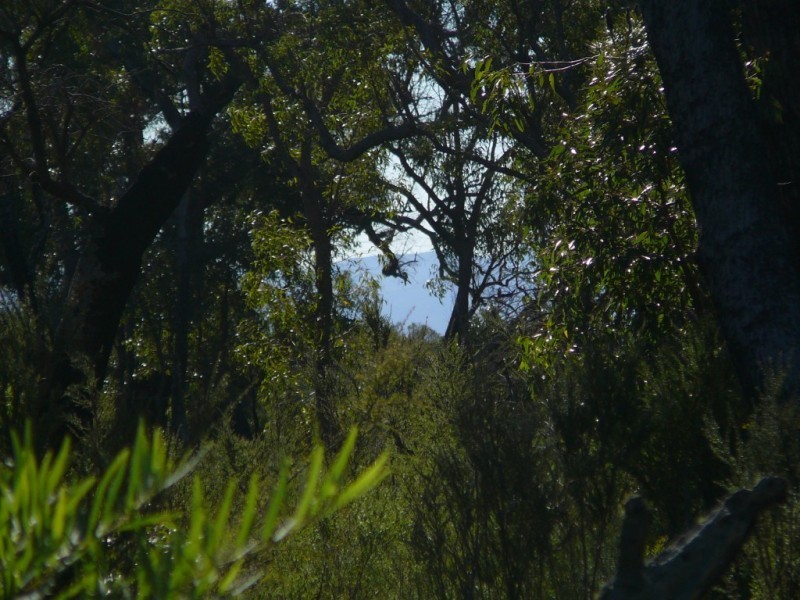 815 Stoney Creek Road, Porongurup WA 6324